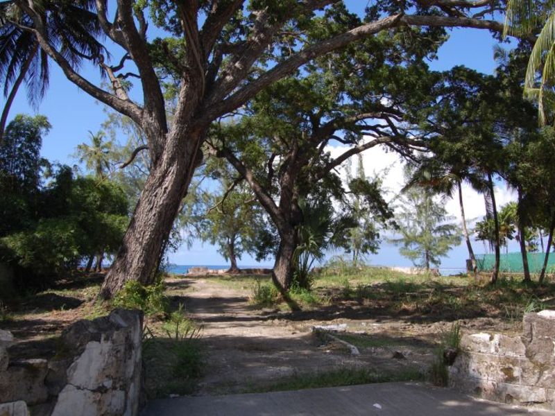 Land For Sale in St. Lawrence Gap Barbados